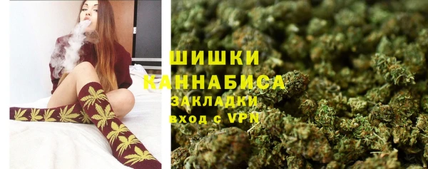 PSILOCYBIN Лиски