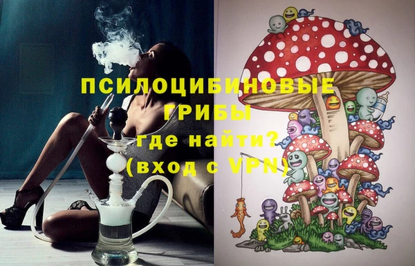 PSILOCYBIN Лиски