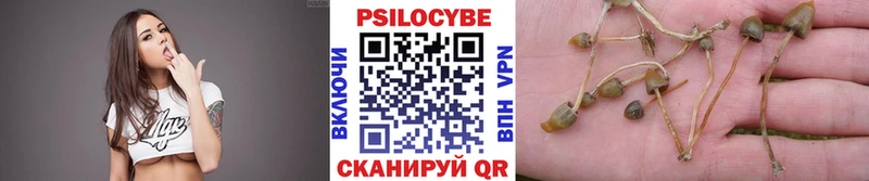 Псилоцибиновые грибы Cubensis  Лабытнанги 