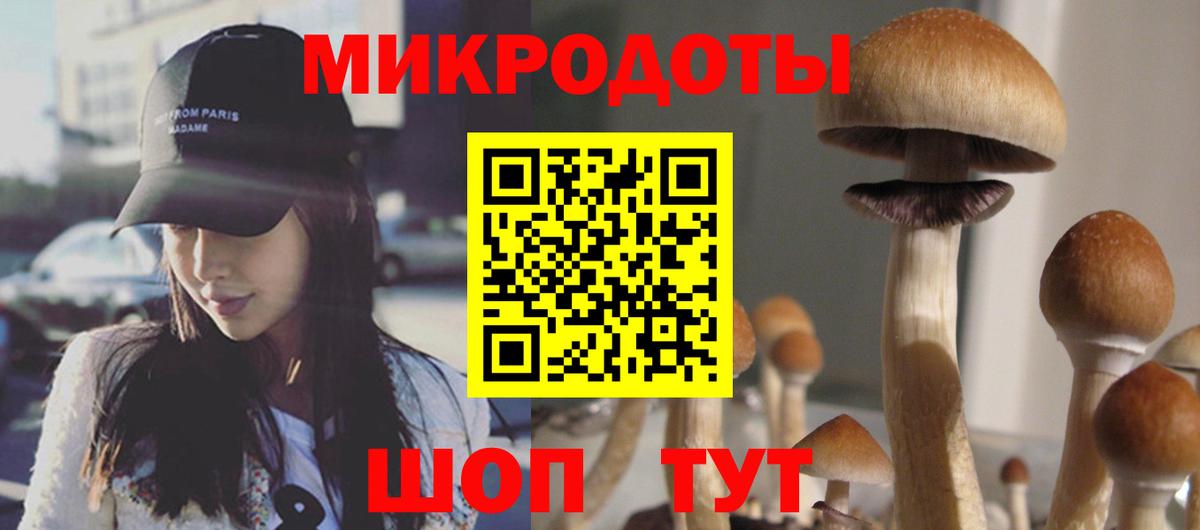 Псилоцибиновые грибы Psilocybe Лабытнанги